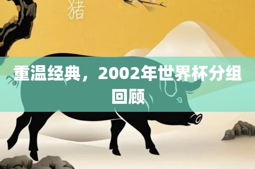 重温经典，2002年世界杯分组回顾