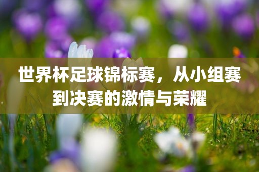 世界杯足球锦标赛，从小组赛到决赛的激情与荣耀眉山市正发家政服务有限公司