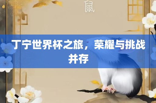 丁宁世界杯之旅，荣耀与挑战并存
