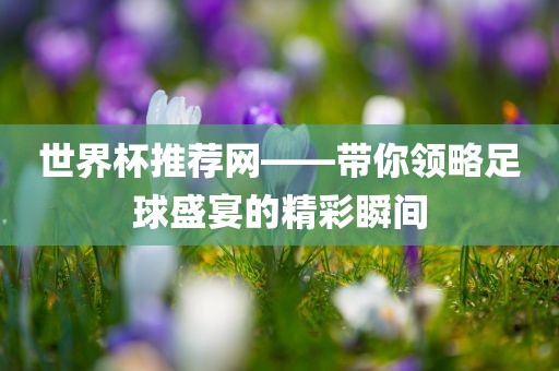 世界杯推荐网——带你领略足球盛宴的精彩瞬间