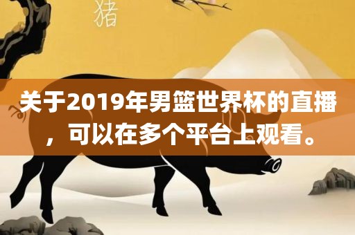 关于2019年男篮世界杯的直播，可以在多个平台上观看。