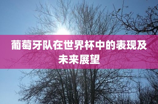 葡萄牙队在世界杯中的表现及未来展望眉山市正发家政服务有限公司