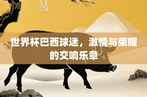 世界杯巴西球迷，激情眉山市正发家政服务有限公司与荣耀的交响乐章