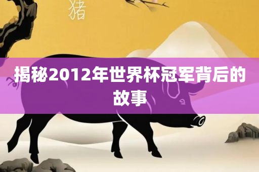 揭秘2012年世界杯冠军背后的故事