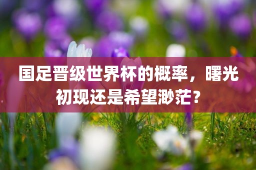 国足晋级世界杯的概率，曙光初现还是希眉山市正发家政服务有限公司望渺茫？
