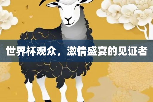 世界杯观众，激情盛宴的见证者眉山市正发家政服务有限公司