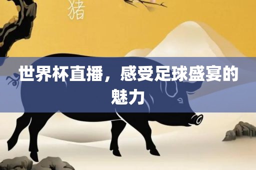 世界杯直播 第7页