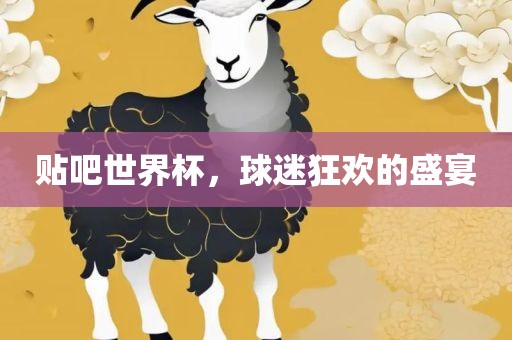 贴吧世界杯，球迷狂欢的盛宴眉山市正发家政服务有限公司