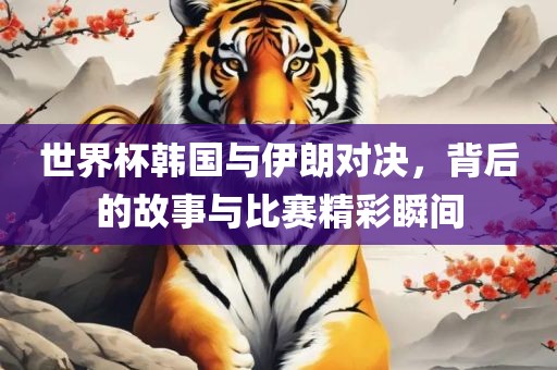 世界杯韩国与伊朗对决，背后的故事与比赛精彩瞬间