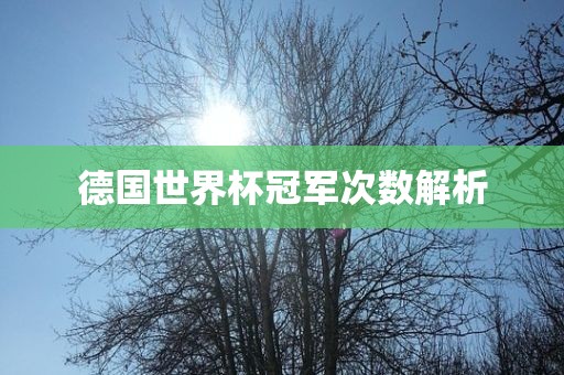 德国世界杯冠军眉山市正发家政服务有限公司次数解析