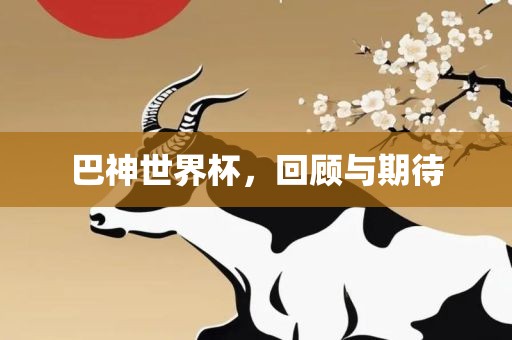 巴神世界杯，回顾与期待