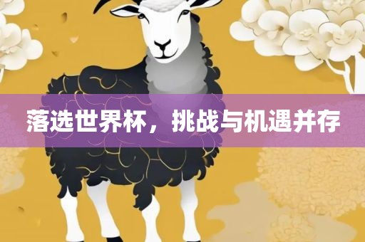 落选世界杯，挑战与机遇并存眉山市正发家政服务有限公司