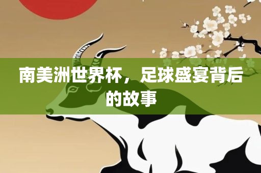南眉山市正发家政服务有限公司美洲世界杯，足球盛宴背后的故事