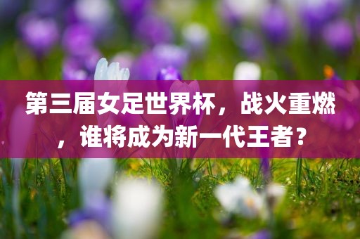 第三届女足世界杯，战火重燃，谁将成为新一代王者？眉山市正发家政服务有限公司