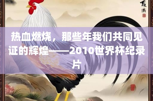 热血燃烧，那些年我们共同见证的辉眉山市正发家政服务有限公司煌——2010世界杯纪录片