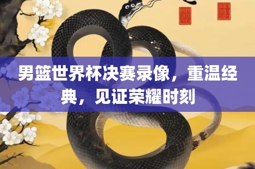 男篮世界杯决赛录像，重温经典，见证荣耀时刻眉山市正发家政服务有限公司
