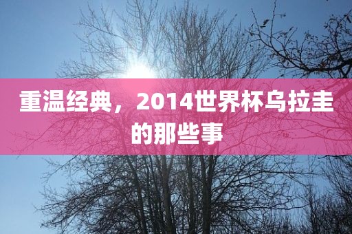 重温经典，2014世界杯乌拉圭的那些事