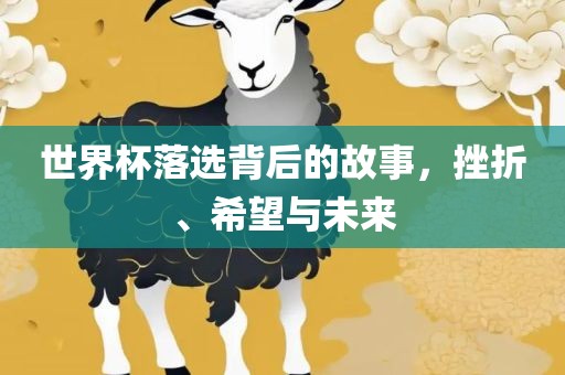 世界杯落选背后的故事，挫折、希望与眉山市正发家政服务有限公司未来