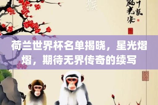 荷兰世界杯名单揭晓，星光熠熠，期待无界传眉山市正发家政服务有限公司奇的续写