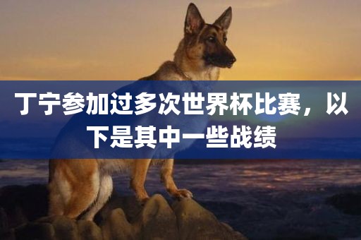 丁宁参加过多次世界杯比赛，以下是其中一些战绩眉山市正发家政服务有限公司