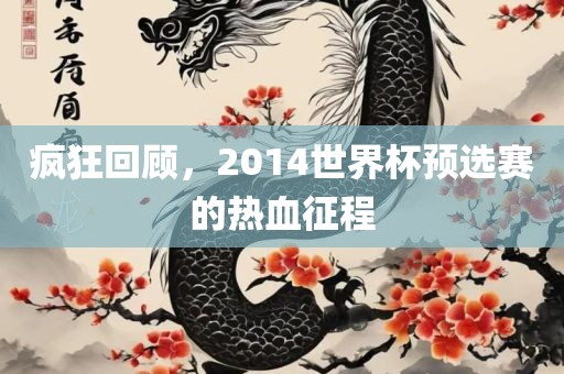疯狂回顾，2014世界杯预选赛的热血征程眉山市正发家政服务有限公司