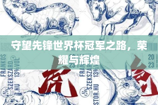守望先锋世界杯冠军之路，荣耀与辉煌