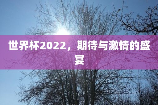 世界杯2022，期待与激情的盛宴