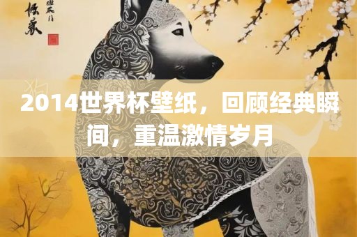2014世界杯壁纸，回顾经典瞬间，重温激情岁月