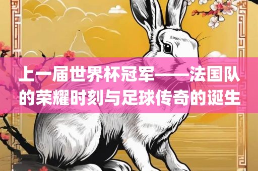 上一届世界杯冠军——法国队的荣耀时刻与足球传奇的诞生