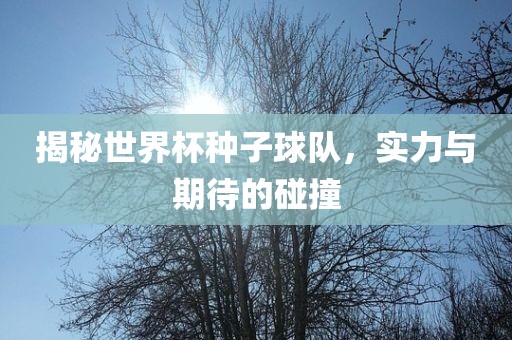 揭秘世界杯种子球队，实力与期待的碰撞