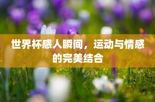 世界杯感人瞬间，运动与情感的完美结合