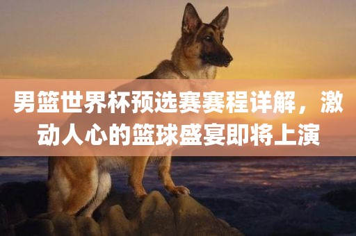 男篮世界杯预选赛赛程详解，激动人心的篮球盛宴即将上演