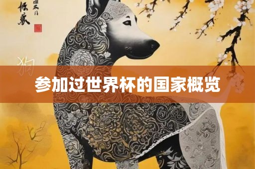 参加过世界杯的国家概览眉山市正发家政服务有限公司