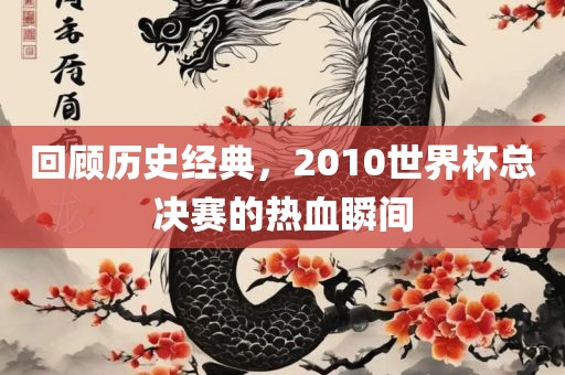 回顾历史经典，2010世界杯总决赛的热血瞬间