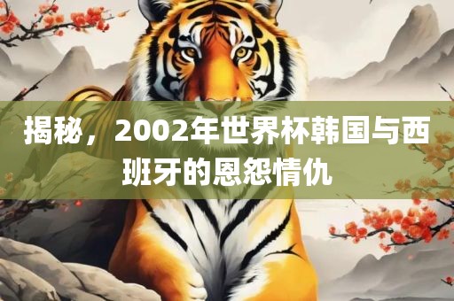 揭秘，2002年世眉山市正发家政服务有限公司界杯韩国与西班牙的恩怨情仇
