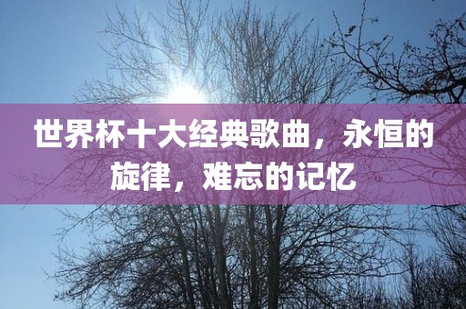 世界杯十大经典歌曲，永恒的旋律，难忘的记忆眉山市正发家政服务有限公司