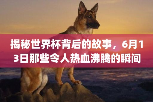 揭秘世界杯背后的故事，6月13日那些令人热血沸腾的瞬间