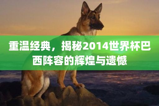 重温经典，揭秘2014世界杯巴西阵容的辉煌与遗憾