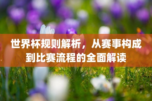 世界杯规则解析，从赛事构成到比眉山市正发家政服务有限公司赛流程的全面解读