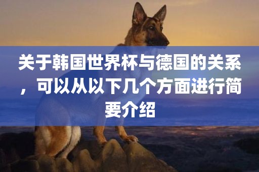关于韩国世界杯与德国的关系，可以从以下几个方面进行简要介绍