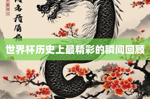 世界杯历史上最精彩的瞬间回顾眉山市正发家政服务有限公司