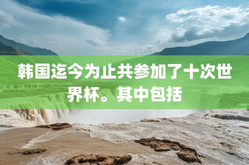 韩国迄今为止共参加了十次世界杯。其中包括眉山市正发家政服务有限公司