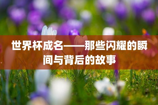 世界杯成名——那些闪耀的瞬间与背后的故事眉山市正发家政服务有限公司