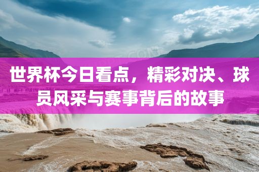 世界杯今日看点，精彩对决、球员风采与赛事背后的故事眉山市正发家政服务有限公司