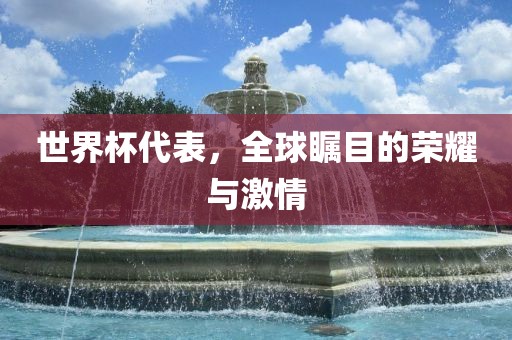 世界杯代表，全球瞩目的荣耀与激情