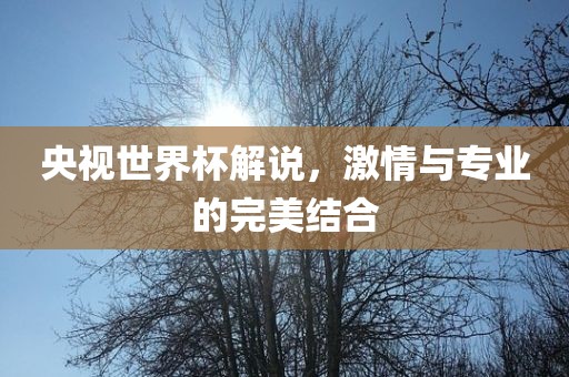 央视世界杯解说，激情与专业的完美结合
