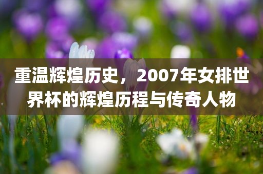 重温辉煌历史，2007年女排世界杯的辉煌历程与传奇人物