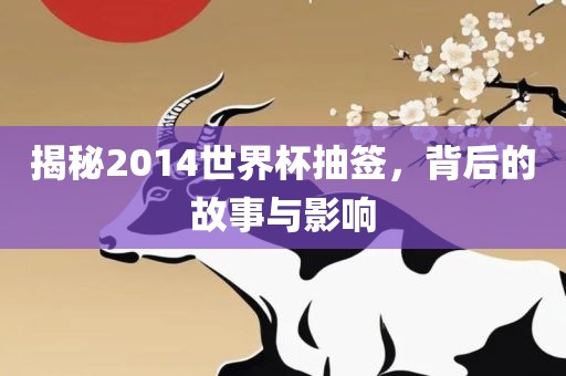 揭秘2014世界杯抽签，背后的故事与影响