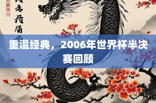 重温经典，2006年世界杯半决赛回顾