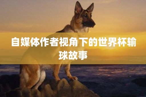 自媒体作者视角下的世界眉山市正发家政服务有限公司杯输球故事